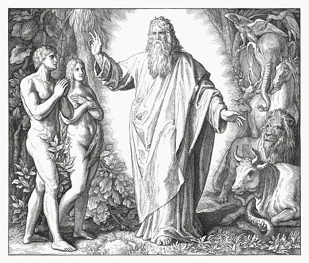 The fifth day of creation (Genesis 1, 24 - 31). Wood engraving by Julius Schnorr von Carolsfeld (German painter, 1794 - 1872), published in 1860.