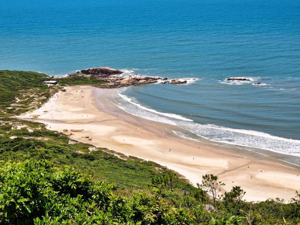 istock Rocks and beach at Galheta beach, Morro da Galheta, Florianopolis, Santa Catarina, Brazil 1469974412