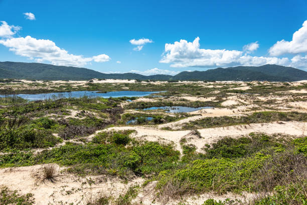 Joaquina beach with stone and dunes in Florianopolis, Santa Catarina, Brasil. Joaquina beach with stone and dunes in Florianopolis, Santa Catarina, Brasil. Praia da Joaquina is a beach in Florianopolis. joaquina beach in florianopolis santa catarina brazil stock pictures, royalty-free photos & images