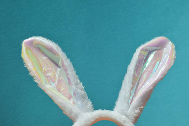 istock white fluffy rabbit ears. background for the design of Happy Easter, spring holiday 1469978146