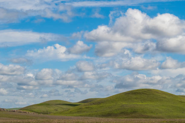 Rolling HIlls in California Pastoral scene of green rollin ghills in Fairfield, California, open spaceon a partly cloudy day and blue sky copy-space rolling field stock pictures, royalty-free photos & images