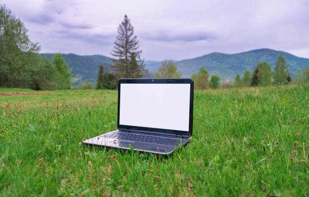 Young woman on grass in park using laptop. Shollow DOF.