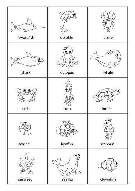 istock Set of cartoon black and white sea animals with names. 1469986319