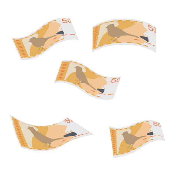 Netherlands Antillean Guilder Vector Illustration. Curaçao and Sint Maarten money set bundle banknotes. Falling, flying money 50 ANG. Flat style. Isolated on white background. Simple minimal design. Netherlands Antillean Guilder Vector Illustration. Curaçao and Sint Maarten money set bundle banknotes. Falling, flying money 50 ANG. Flat style. Isolated on white background. Simple minimal design. dutch guilders stock illustrations