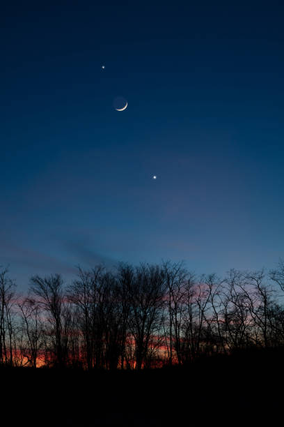 istock Planets in conjunction with young Moon above tree countryside silhouettes. 1469986716