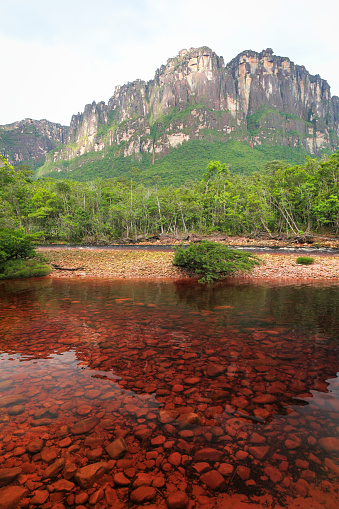 Scenic view of multi coloured waters, tropical forest and mystical table top mountain in background at Canaima National Park, Bolivar State, Venezuela.