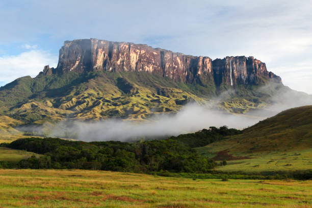 Kukenan tepui against sky Scenic view of Kukenan tepui against sky with valley in foreground, Mount Roraima, Roraima, Bolivar State, Venezuela. plateau concept stock pictures, royalty-free photos & images