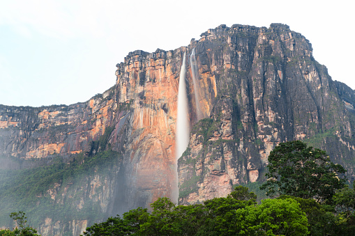 Scenic view of Angel waterfalls flowing from Auyan tepui mountain at Canaima National Park, Bolivar State, La Gran Sabana,Venezuela.