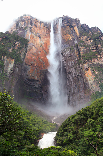 Scenic view of Angel waterfalls flowing from Auyan tepui mountain in forest at Canaima National Park, Bolivar State, La Gran Sabana, Venezuela.
