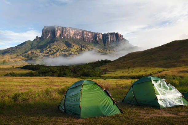 Tents on grassy landscape View of tents with Kukenan tepui in background against sky, Mount Roraima, Roraima, Bolivar State, Venezuela. mount roraima south america stock pictures, royalty-free photos & images