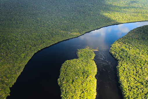 Aerial view of Rio Churun River flowing amidst Amazon rainforest at Canaima National Park, Bolivar State, Venezuela.