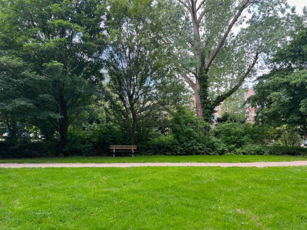 istock Beautiful view of green park with bench 1469987647