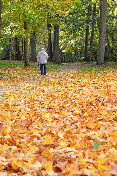 istock Man walking in an autumn park 146998807