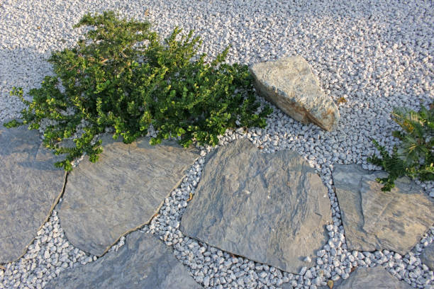istock Modern low maintenence gravel garden 1469988271