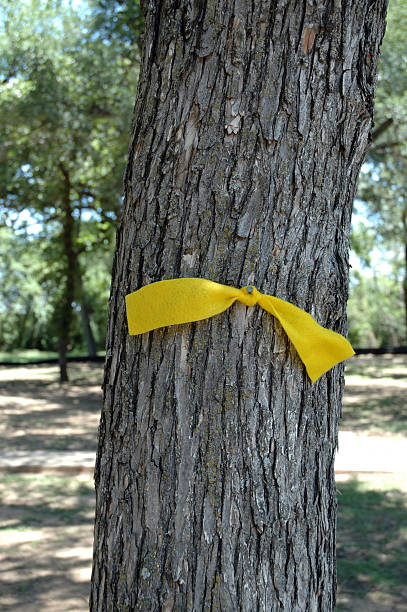 istock Tie a yellow ribbon 146999356