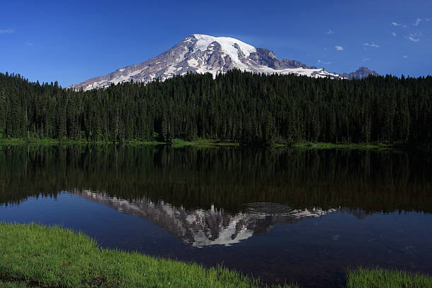 Mount Rainier stock photo