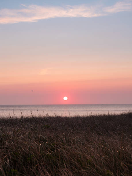 alba sul mare - cape cod bay foto e immagini stock