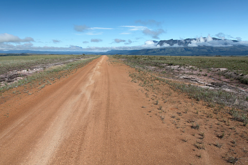 View of empty dirt track passing through grassy landscape, La Gran Sabana, Venezuela.