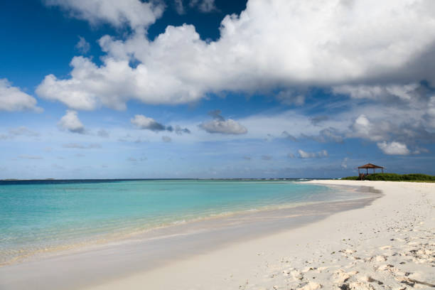 istock Cloudy sky over sea and beach 1469995860