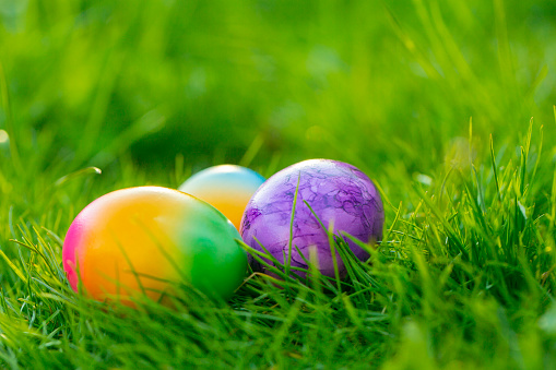 Easter Egg.Easter Egg Hunt. multicolored painted eggs in green grass.Easter food.Spring religious holiday.Collection of colored eggs. holiday tradition