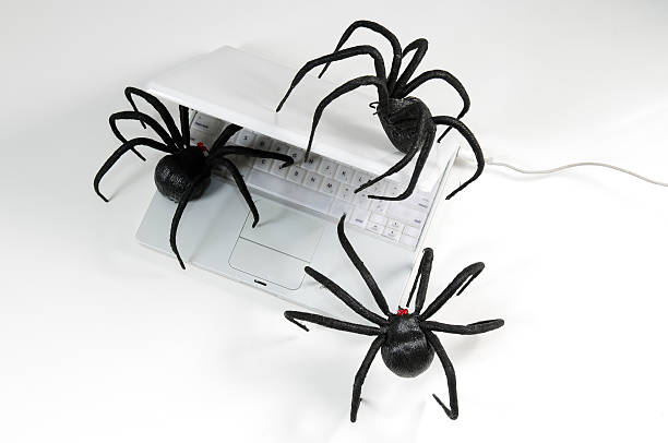 istock Black Spiders crawl over laptop 146999796