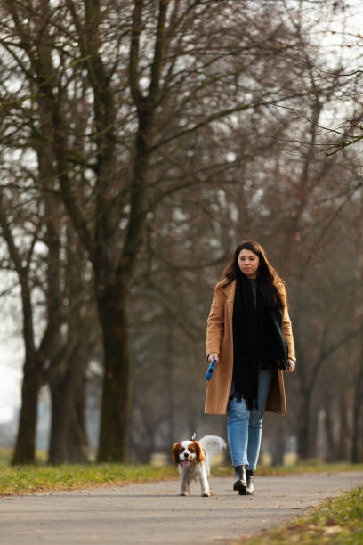 istock Young woman walking dog in a park. 1470000737