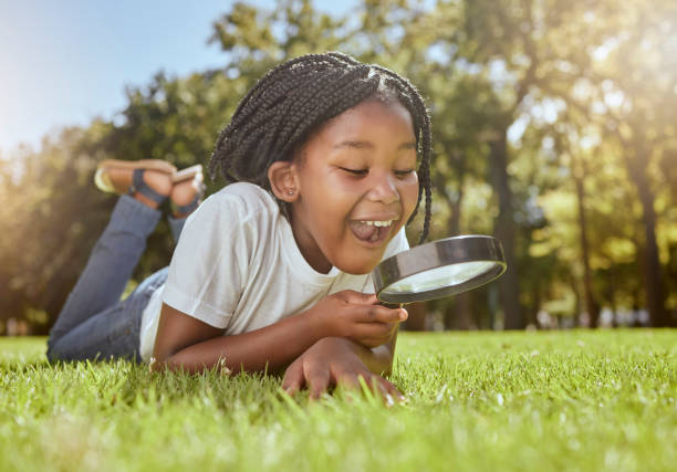 Learning, magnifier and child in nature for science knowledge, education and biology project discovery. Wow, ecology and field study with happy surprise of young black kid in South Africa park.