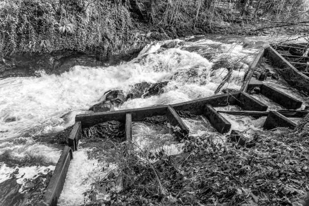 istock Washington Fish Ladder 10 1470000957