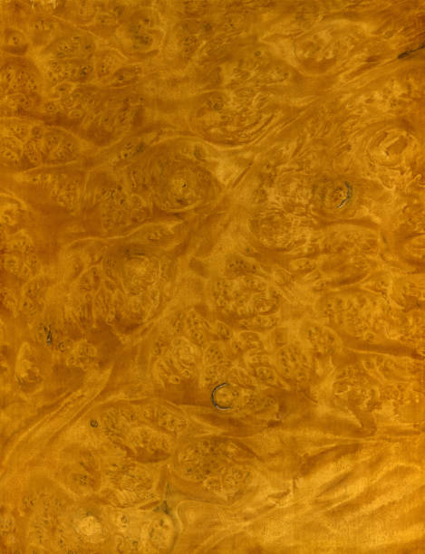 Exotic Wood Veneer stock photo