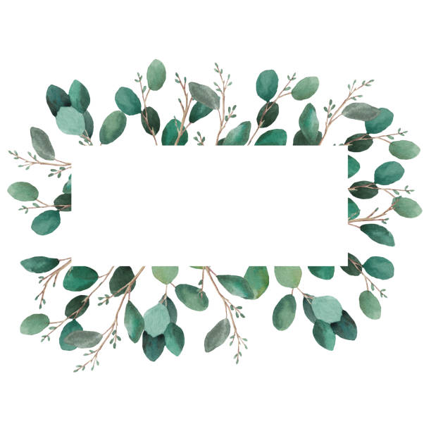 istock Eucalyptus gorizantal frame, wedding invitation, painted in watercolor, on white background, for your design, boho style 1470006598