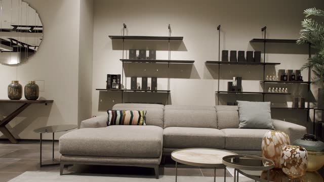 Cozy Modern Furniture Design. Luxury Elegant Room. Real Estate private home.