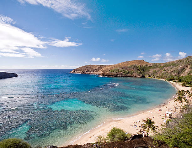 istock beautiful tropical beach in the Oahu Island 147000829