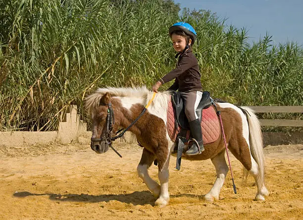 Photo of A young girl with a blue helmet riding a small horse
