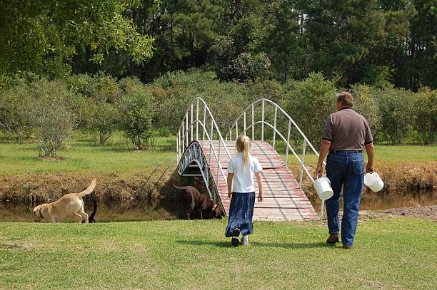 Going Blueberry Picking Grandfather & granddaughter going blueberry picking in East Texas. beaumont tx stock pictures, royalty-free photos & images
