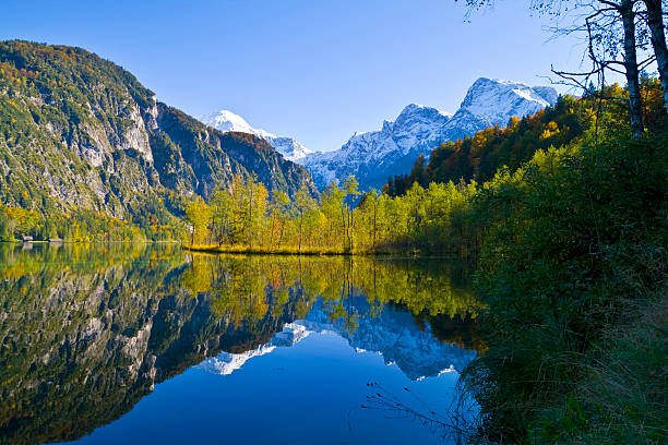 istock Alpine landscape reflecting in a lake 147000983