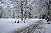 Kurpark in Bad Aibling in winter. A snow-covered park in Bavaria. Public park in Bad Aibling, Upper Bavaria, Germany in winter. Snow-covered park.