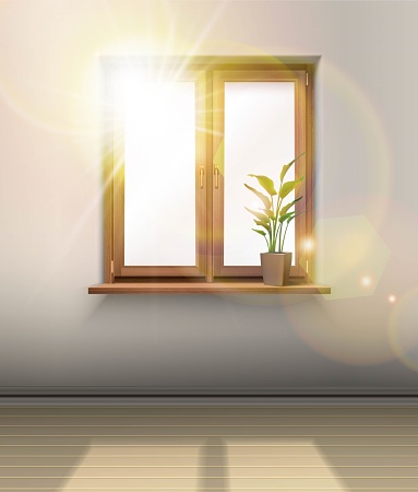 3d realistic vector interior. Wooden window with a plant and sun shining through the glass.