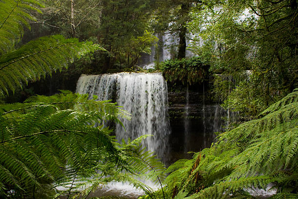Waterfall in Tasmania stock photo