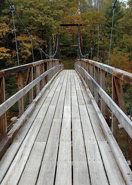 istock Cable Suspended Wooden Footbridge 147001469