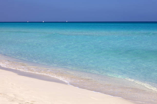 istock Tropical beach with white sand on a ocean, view to blue waves and sky 1470016279