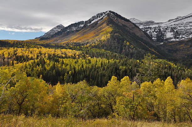 Winter's Arrival Winter arrives in the Wasatch Mountains of Utah, over the color of autumn leaves along the Alpine Loop.  The Alpine Loop connects Provo Canyon with American Fork Canyon. provo stock pictures, royalty-free photos & images