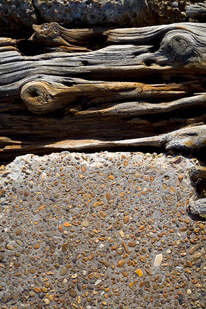 Wood and Stone Background stock photo