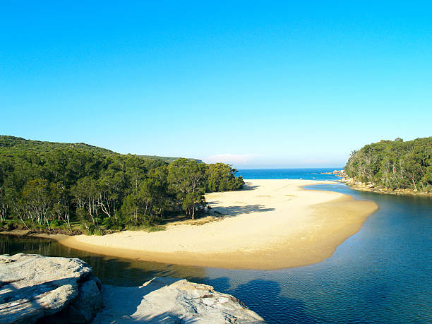 tropical beach in Australia stock photo
