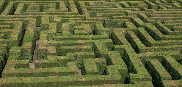istock A-mazing. A green hedge maze. 147001957