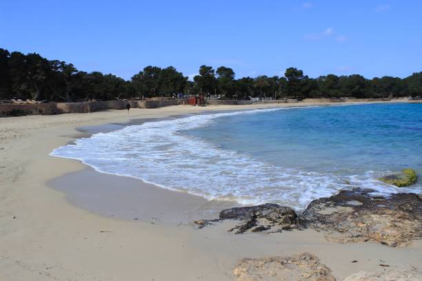 istock Cala Bassa beach in Ibiza, Spain 1470020035