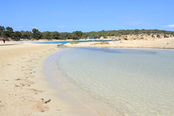 istock Cala Bassa beach in Ibiza, Spain 1470020189