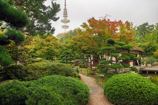 Amazing Japanese garden in autumn  in Hamburg