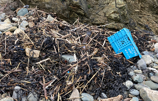 Plastic box used for fishing washed up on the beach - contamination of the environment and unsightly pollution endangering fish and mammals