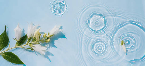 istock Water background with ripples on the surface and white flowers 1470023651