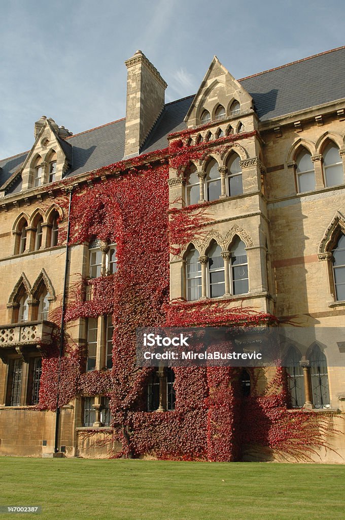 Christchurch - Foto stock royalty-free di Biblioteca